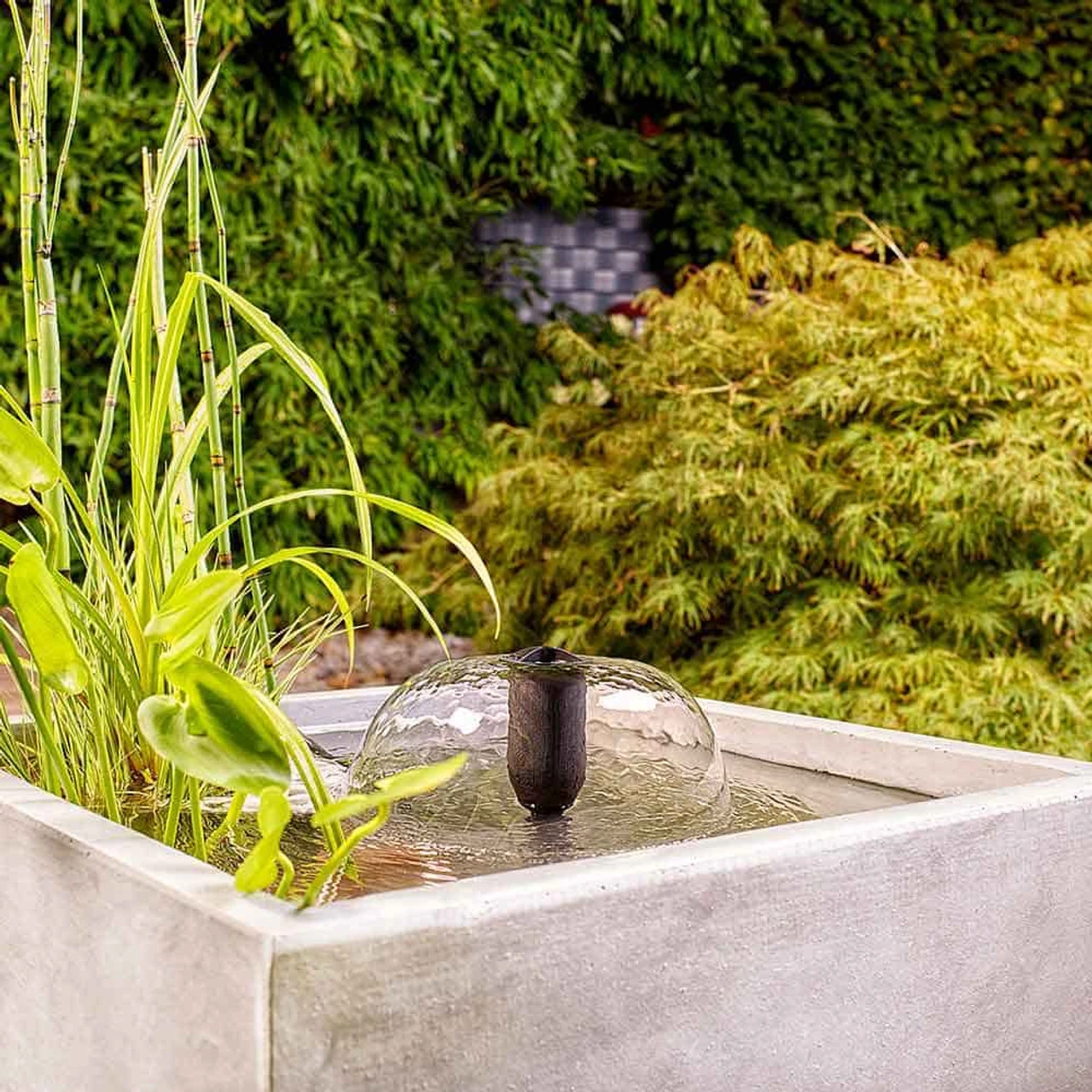 Oase Filtral UVC Filter W/ Pump - Image 13