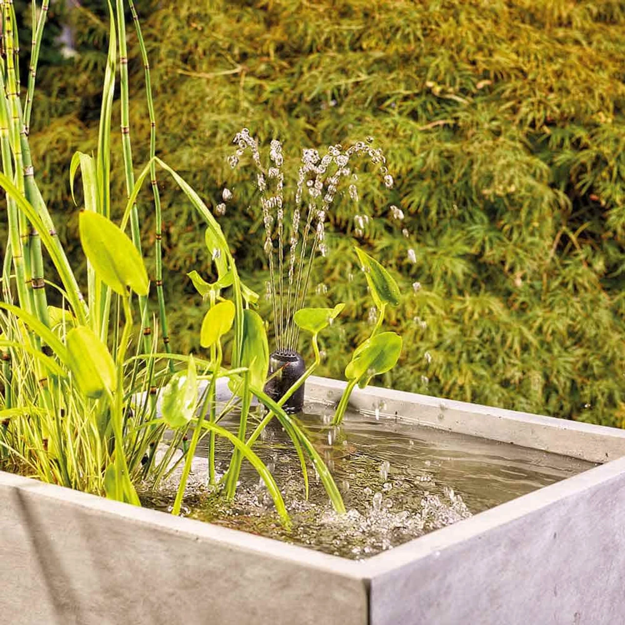 Oase Filtral UVC Filter W/ Pump - Image 5