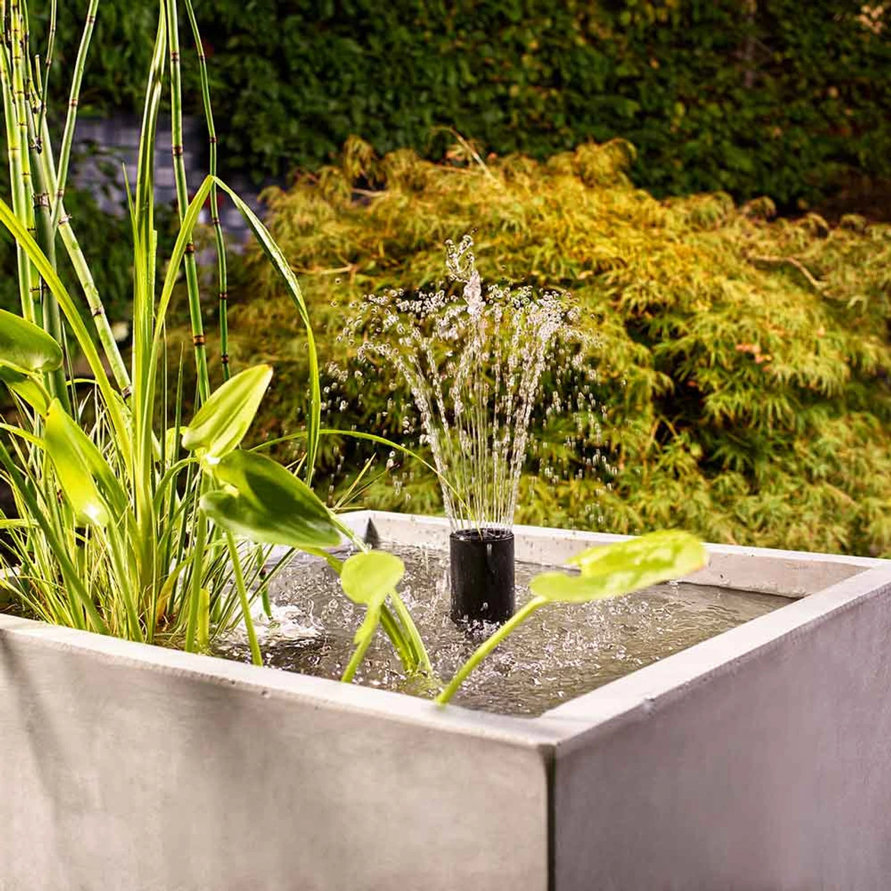 Oase Filtral UVC Filter W/ Pump - Image 9