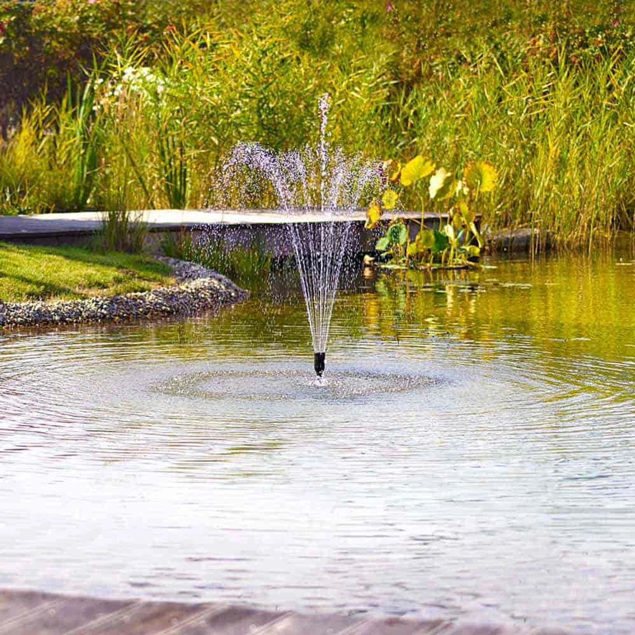 Oase Filtral UVC Filter W/ Pump - Image 7