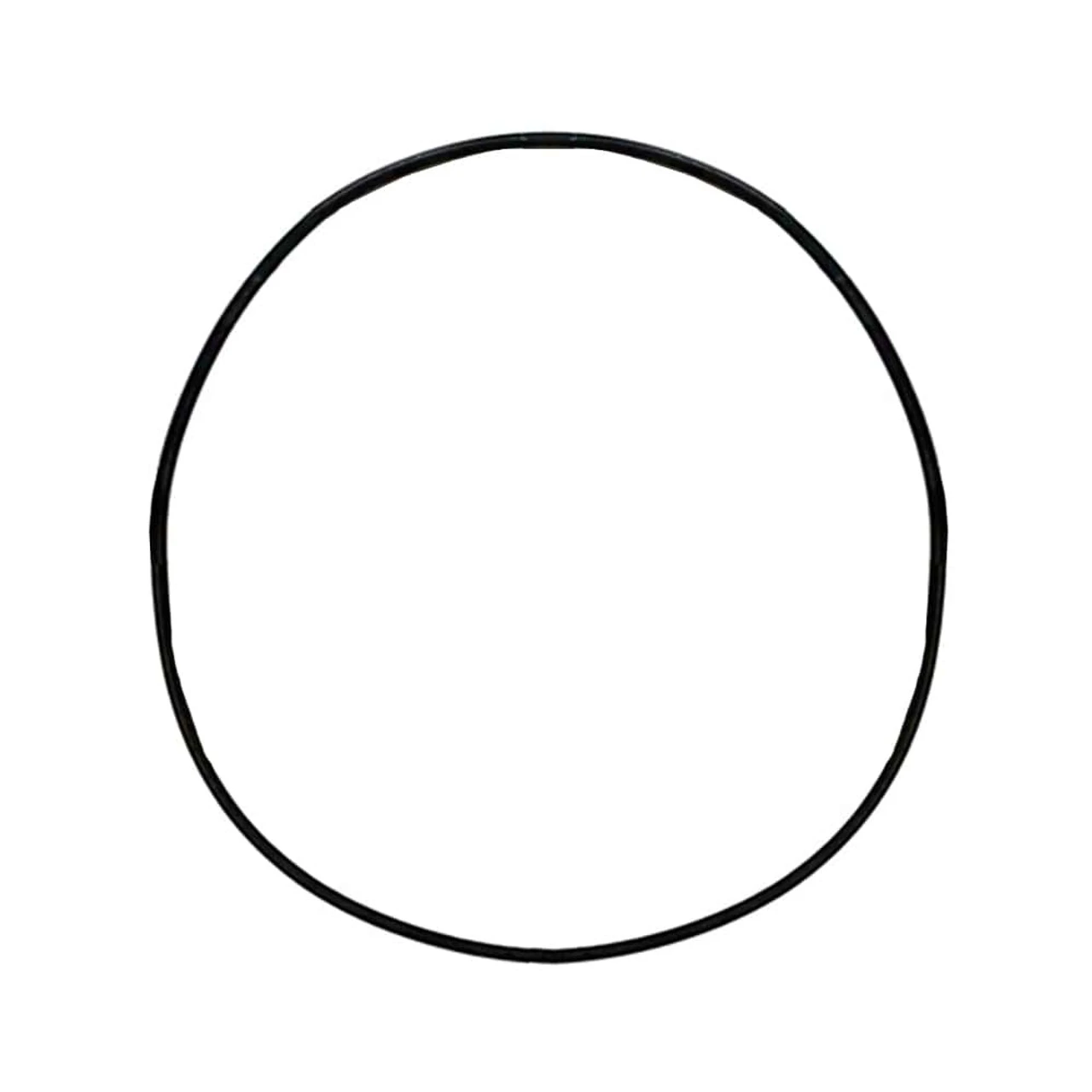 The Pond Guy AllClear Plus G1 Filter Top O-Ring